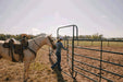 Livestock Panels - Priefert 6' Tall Premier Walk Thru Panels - Priefert