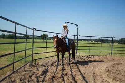Livestock Gates - Priefert 6' x 9' Premier Bow Gate Tall - Priefert