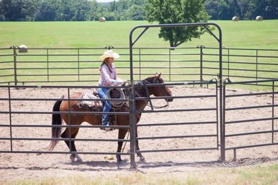 Livestock Gates - Priefert 9' Tall Premier Bow Gates - Priefert