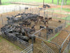 Livestock Gates - Priefert 9' Tall Premier Bow Gates - Priefert