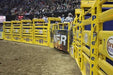 Bucking Chutes - Priefert Add - on Bucking Chute - Priefert