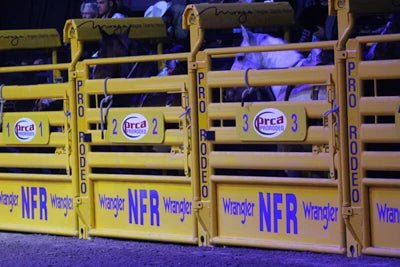 Bucking Chutes - Priefert Add - on Bucking Chute - Priefert