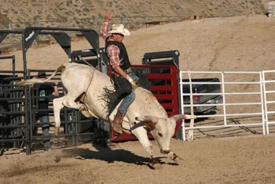 Bucking Chutes - Priefert Add - on Bucking Chute - Priefert