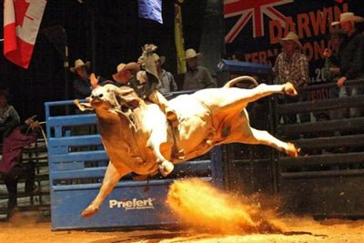 Bucking Chutes - Priefert Add - on Bucking Chute - Priefert