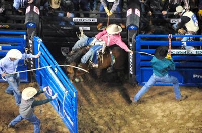 Bucking Chutes - Priefert Add - on Bucking Chute - Priefert