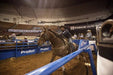 Roping Boxes - Priefert Adjustable Roping Boxes - Priefert
