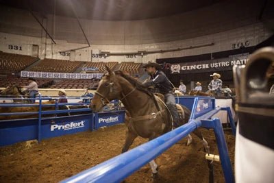 Roping Boxes - Priefert Adjustable Roping Boxes - Priefert