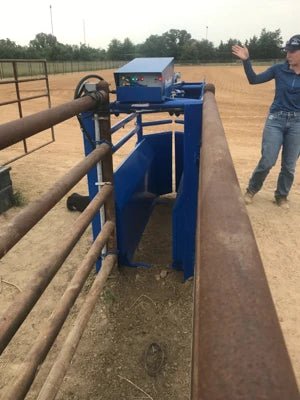 Roping Chutes - Priefert Automatic Calf Roping Chute - Priefert