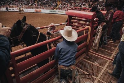 Bucking Chutes - Priefert Bucking Chute - Priefert