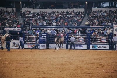 Bucking Chutes - Priefert Bucking Chute - Priefert
