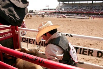 Bucking Chutes - Priefert Bucking Chute - Priefert