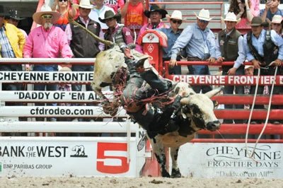 Bucking Chutes - Priefert Bucking Chute - Priefert