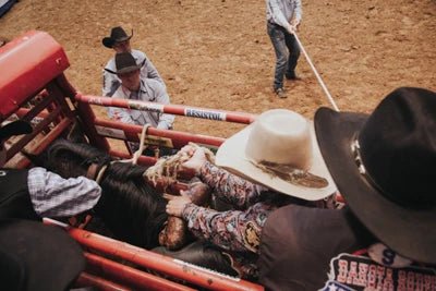 Bucking Chutes - Priefert Bucking Chute - Priefert