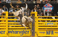 Bucking Chutes - Priefert Bucking Chute - Priefert