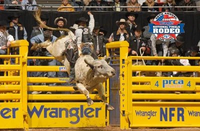 Bucking Chutes - Priefert Bucking Chute - Priefert