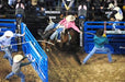 Bucking Chutes - Priefert Bucking Chute Sets - Priefert