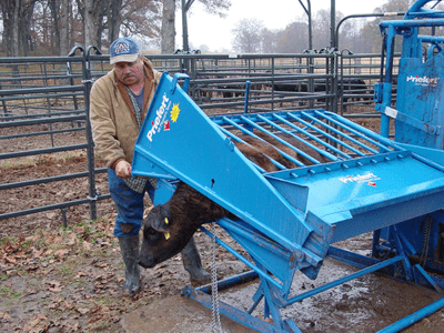 Calving Equipment - Priefert Calf Table - Priefert