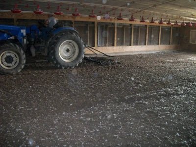 Chain Harrow Mat - Priefert Chain Harrow Mats - Priefert