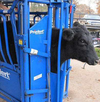 Head Gates - Priefert Headgate Neck Extension - Priefert