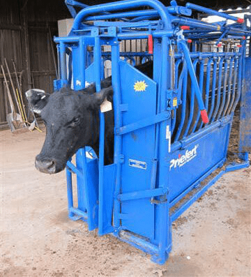 Head Gates - Priefert Headgate Neck Extension - Priefert
