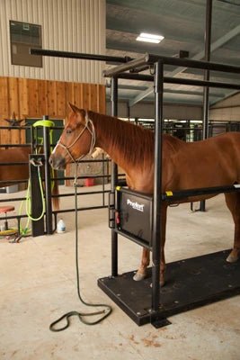 Horse Stock - Priefert Horse Stock - Priefert