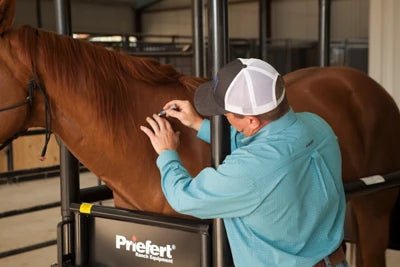 Horse Stock - Priefert Horse Stock - Priefert