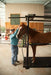 Horse Stock - Priefert Horse Stock - Priefert