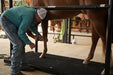 Horse Stock - Priefert Horse Stock - Priefert