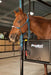 Horse Stock - Priefert Horse Stock - Priefert