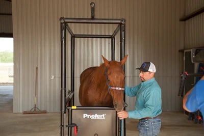 Horse Stock - Priefert Horse Stock - Priefert