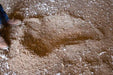 Litter Savers - Priefert Litter Saver - Priefert