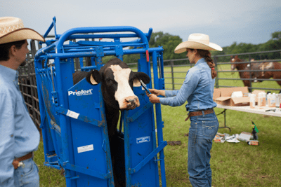 Head Gates - Priefert Model 91 Headgate - Priefert