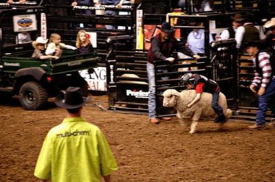 Rodeo Chutes - Priefert Mutton Bustin Chute - Priefert