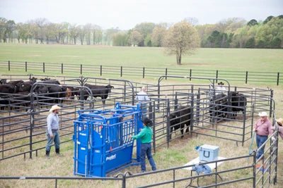 Complete Corral Systems - Priefert Premier Corral System for 100 Head - Priefert