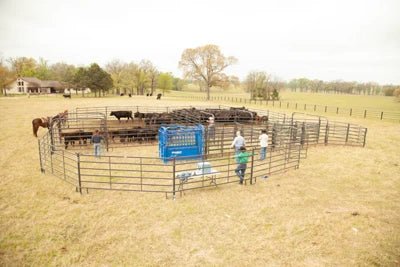 Complete Corral Systems - Priefert Premier Corral System for 100 Head - Priefert