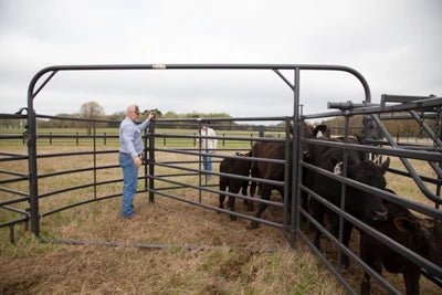Complete Corral Systems - Priefert Premier Corral System for 100 Head - Priefert