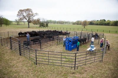 Complete Corral Systems - Priefert Premier Corral System for 100 Head - Priefert