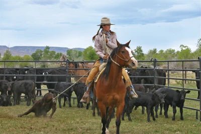 Livestock Panels - Priefert Premier Panels - Priefert