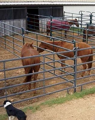 Livestock Panels - Priefert Premier Panels - Priefert