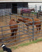 Livestock Panels - Priefert Premier Panels - Priefert