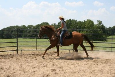 Round Pens - Priefert Premier Round Pens - Priefert