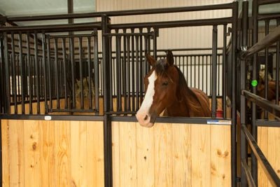 Stall Fronts - Priefert Premier Stall Fronts Bar/Wood - Priefert