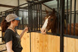 Stall Fronts - Priefert Premier Stall Fronts Bar/Wood - Priefert