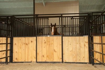 Stall Fronts - Priefert Premier Stall Fronts Bar/Wood - Priefert