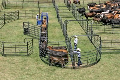 Livestock Panels - Priefert Premier Walk Thru Panels - Priefert