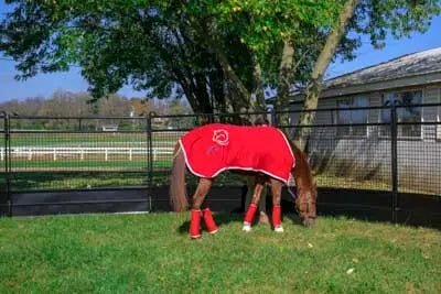 Round Pens - Priefert Premium Round Pens - Priefert