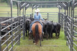 Livestock Panels - Priefert Rough Stock Arena Bow Frames - Priefert
