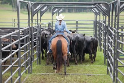 Livestock Panels - Priefert Rough Stock Arena Bow Frames - Priefert
