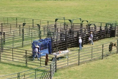 Livestock Panels - Priefert Rough Stock Arena Bow Frames - Priefert