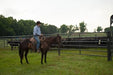 Livestock Panels - Priefert Rough Stock Arena Panels - Priefert